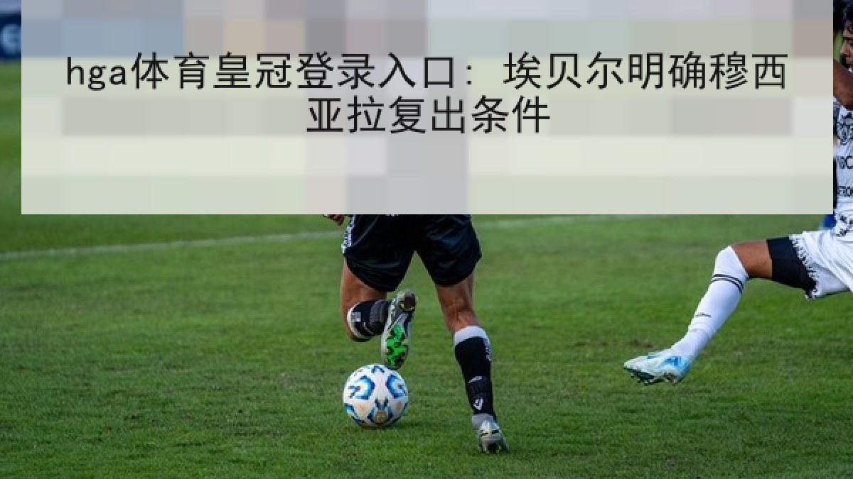 hga体育皇冠登录入口: 埃贝尔明确穆西亚拉复出条件